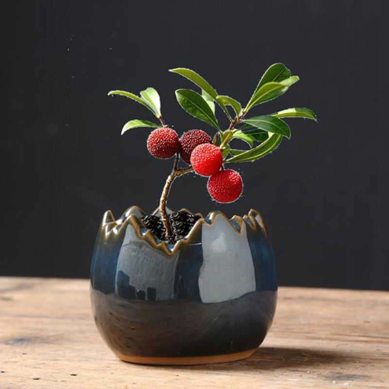Bonsai Garden Art - إناء زهور مزجج بتأثير الفرن على