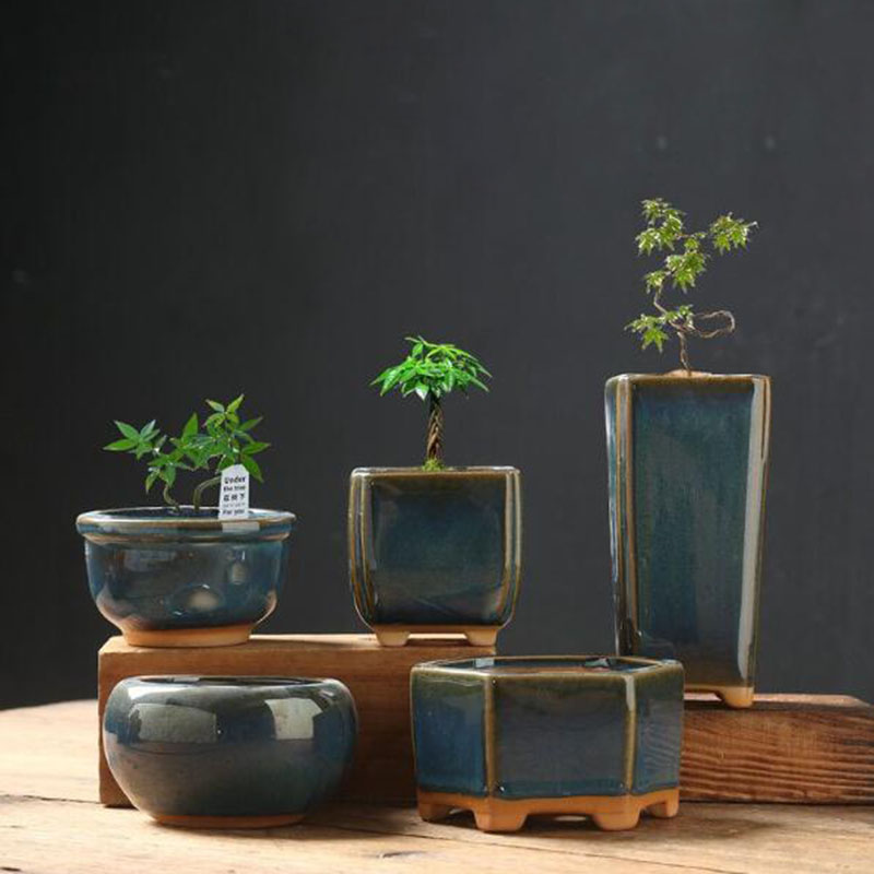 إناء زهور مزجج بتأثير الفرن عل - مراجعة Bonsai Garden Art وسعره