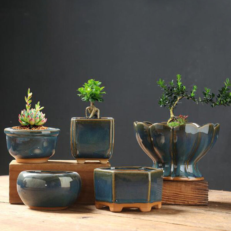 إناء زهور مزجج بتأثير الفرن عل - مراجعة Bonsai Garden Art وسعره