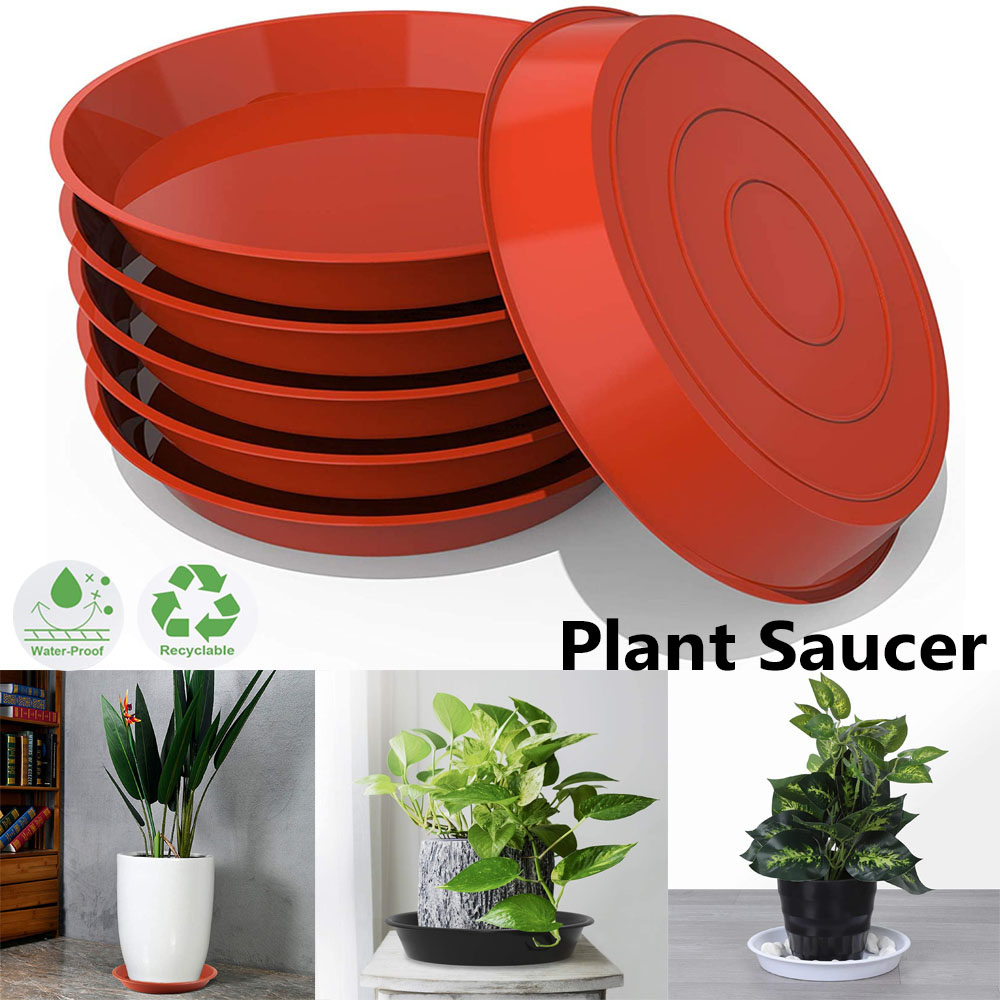 3 قطع صواني بلاستيكية دائرية ل - مراجعة Drip Tray Saucer وسعره